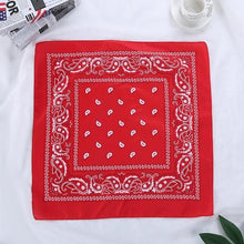 Retro Paisley Print Bandana