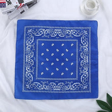 Retro Paisley Print Bandana