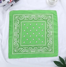 Retro Paisley Print Bandana